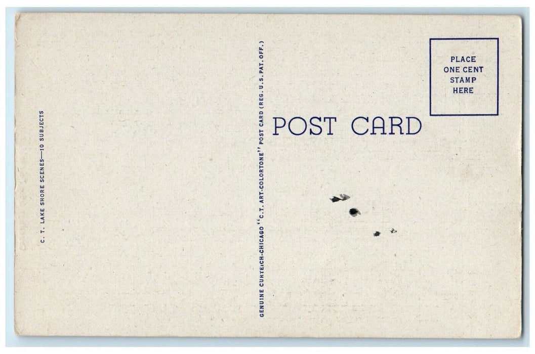 c1940 Greetings From Fairfield Tree River Mountain Illinois IL Vintage Postcard