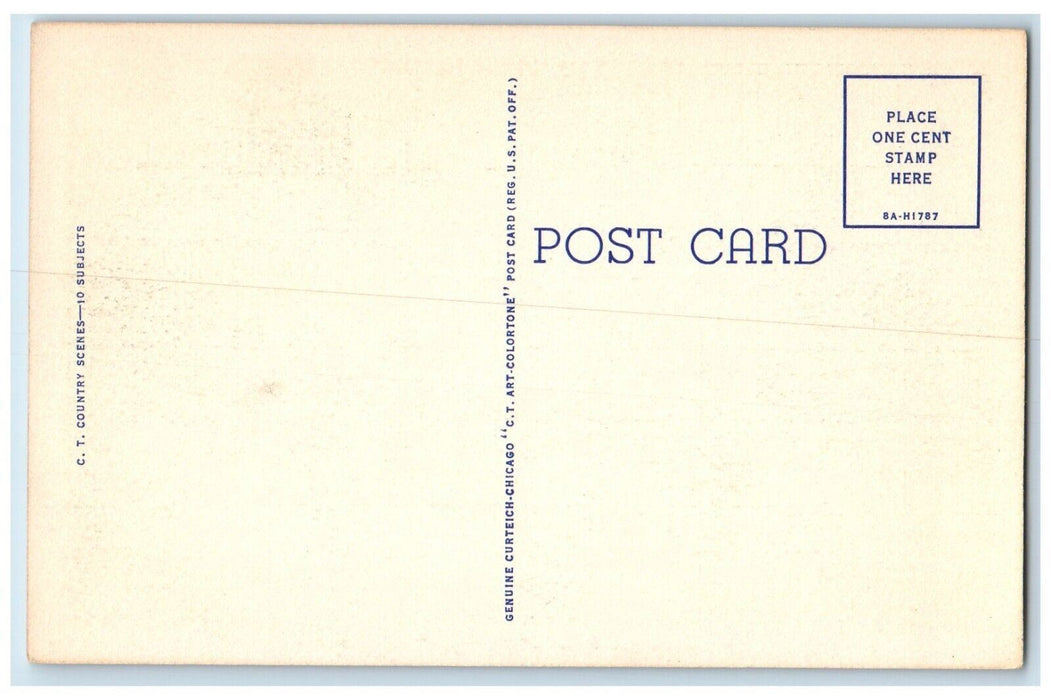 1940 Greetings From Gibson City Street Cows Illinois IL Vintage Antique Postcard