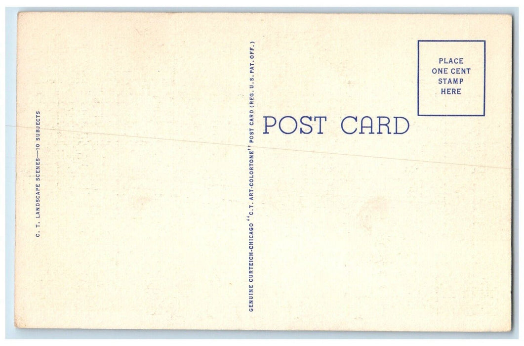 1940 Greetings From Gibson City Flowers Road Illinois Vintage Antique Postcard