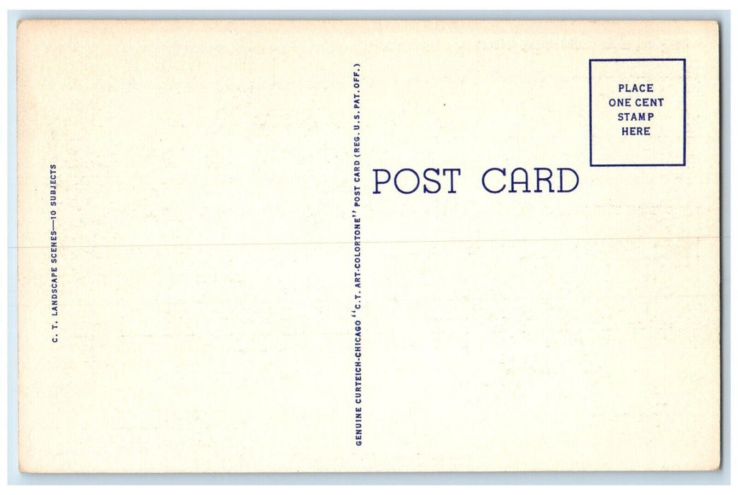 1940 Greetings From Gibson City Flowers Plants Illinois Vintage Antique Postcard