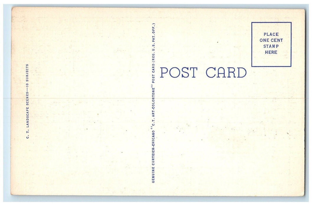1940 Greetings From Gibson City Flowers River  Illinois Vintage Antique Postcard