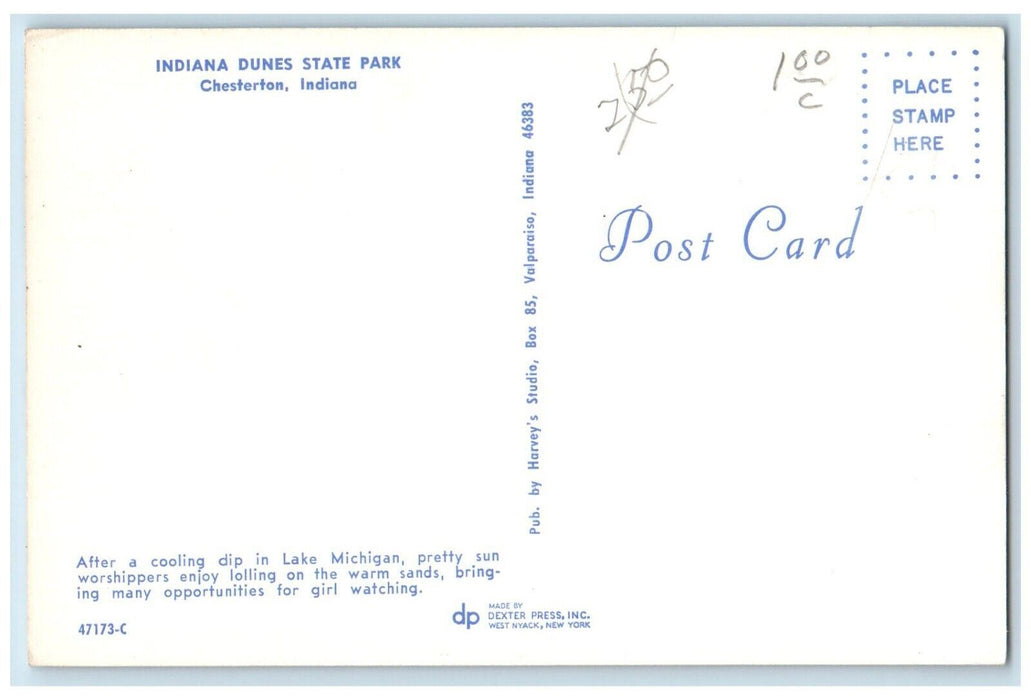 c1960 Indiana Dunes State Park Lake Michigan Chesterton Indiana Vintage Postcard