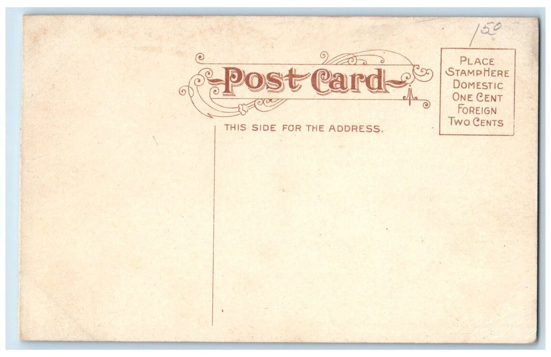 c1906 Fifth Ave And Broadway Grass Pond Gary Indiana IN Vintage Antique Postcard