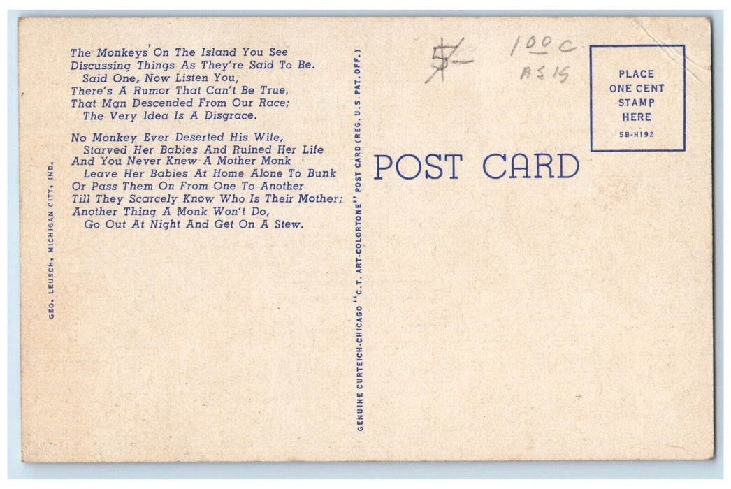 c1940 Washington Park Monkey Island Zoo Michigan City Indiana Vintage Postcard