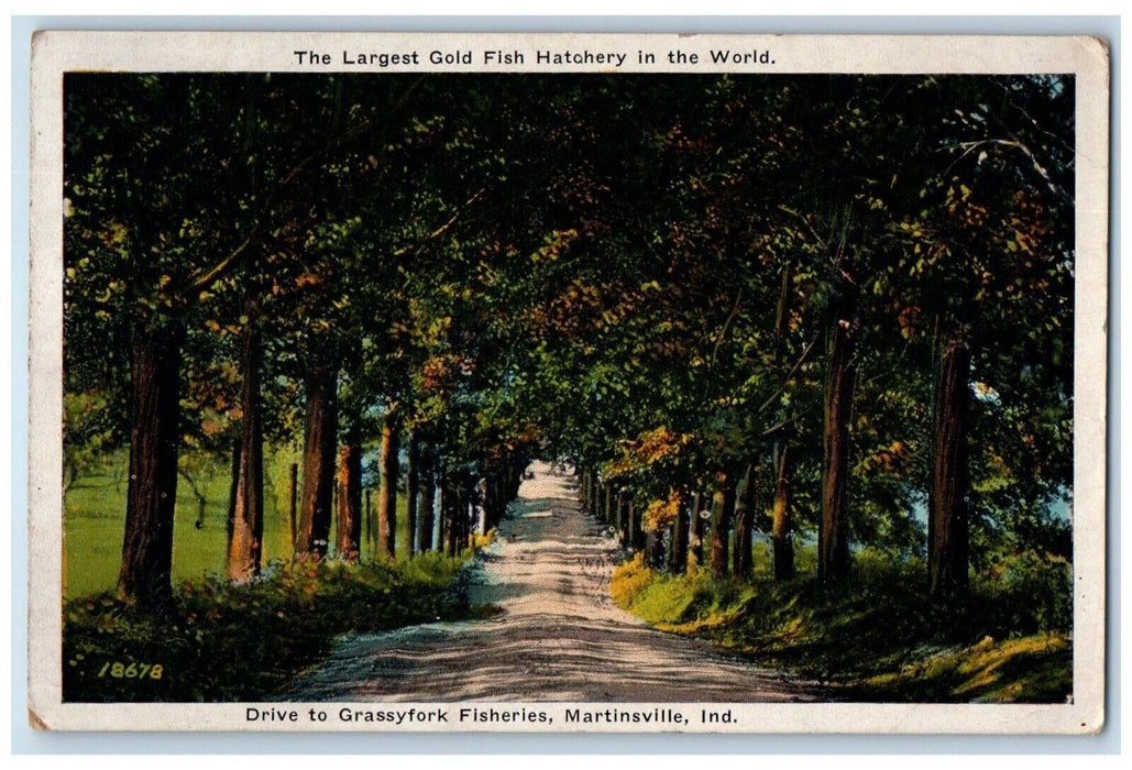 c1920 Drive Grassyfork Fisheries Trees Street Road Martinsville Indiana Postcard