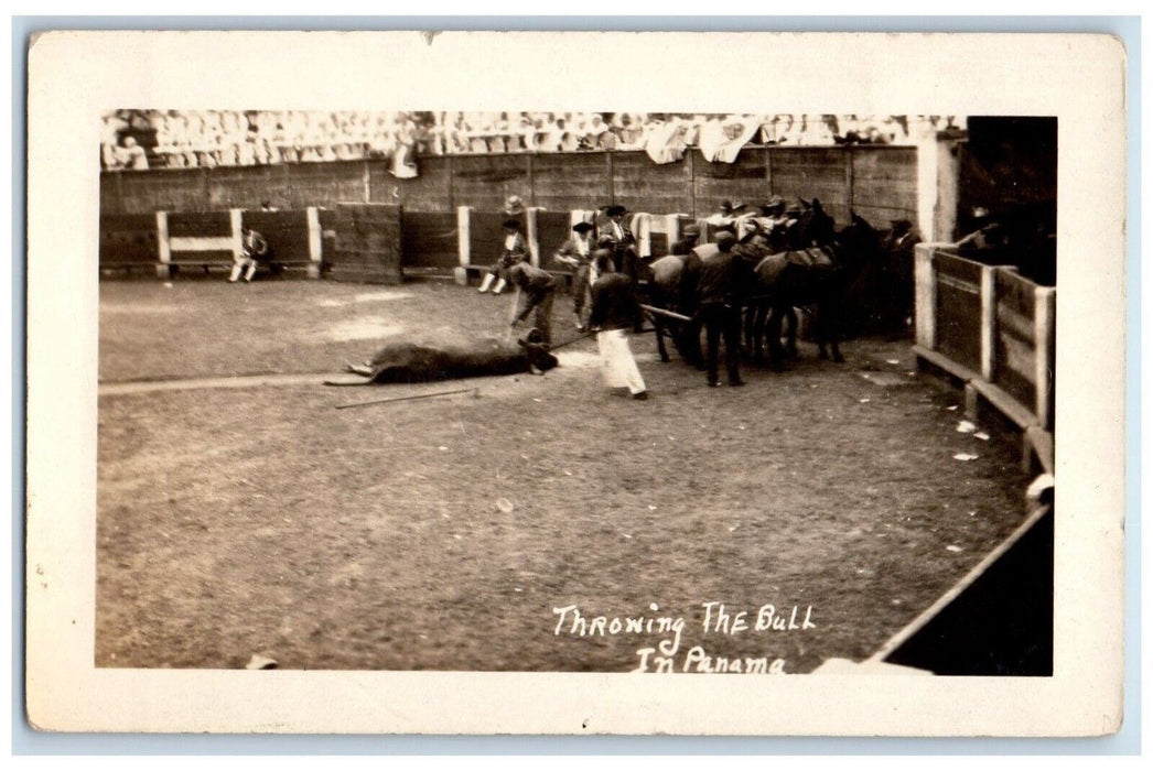 c1920's Throwing The Bull Bull Fighting Matador Panama RPPC Photo Postcard
