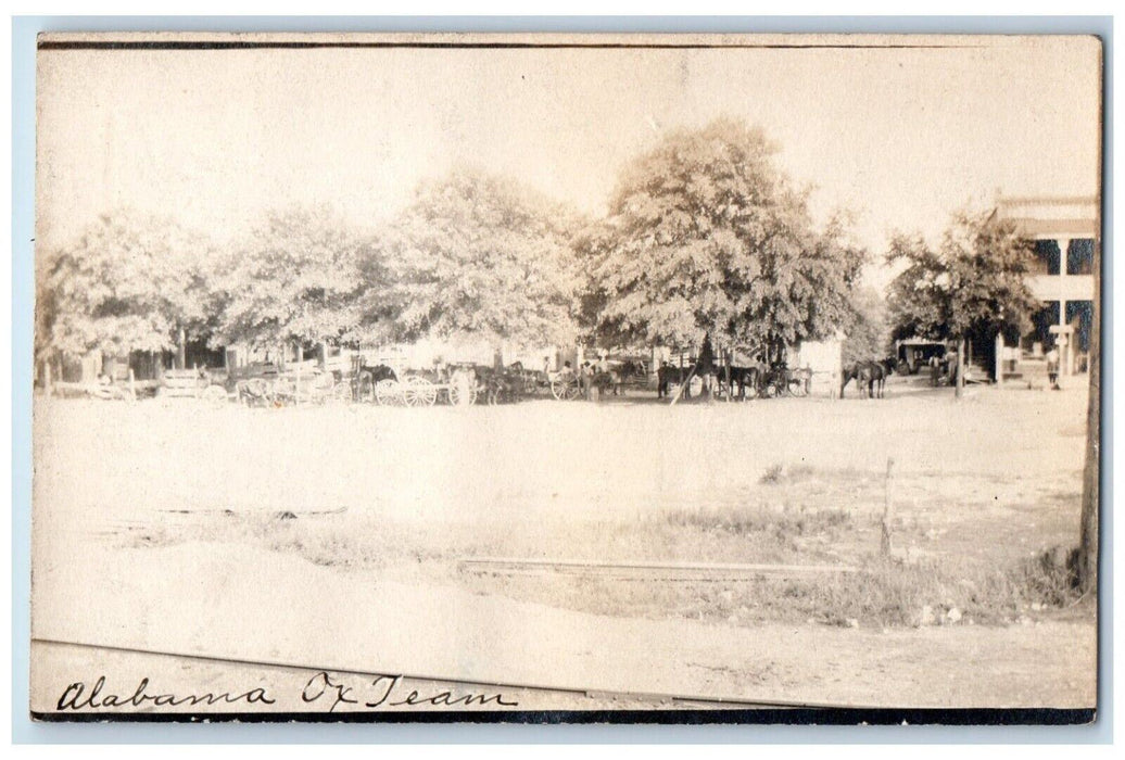 c1910 Candid Oxen Ox Wagon Team Greenville Alabama AL RPPC Photo Postcard