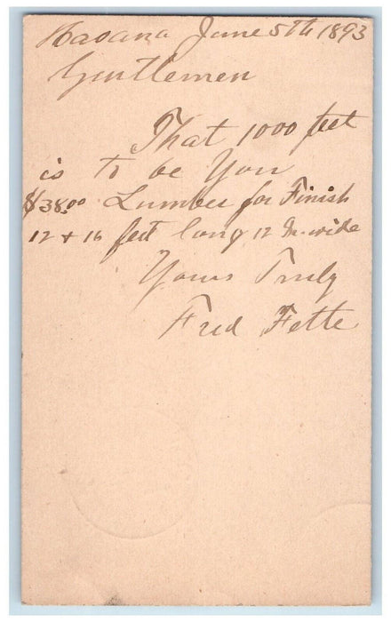 1893 Lumber for Finish Fred Fotte Havana Illinois IL Clinton IA Postcard