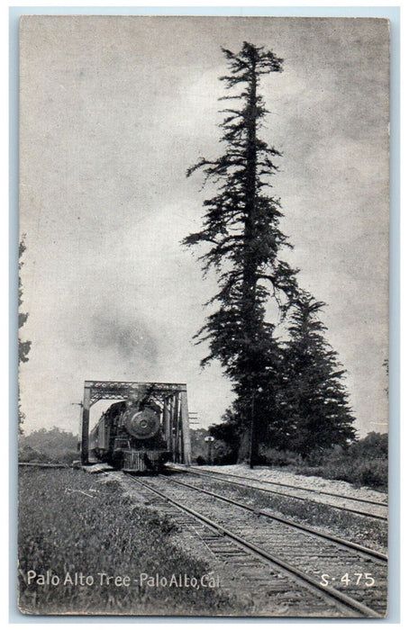 Palo Alto Tree Train Approaching Railroad Bridge Scene California CA Postcard