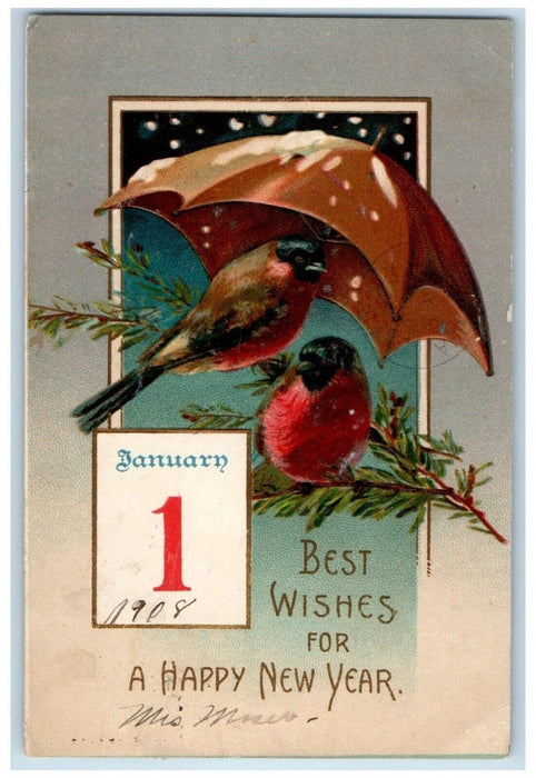 1908 New Year January 1 Birds Umbrella Snowfall Clapsaddle Embossed Postcard