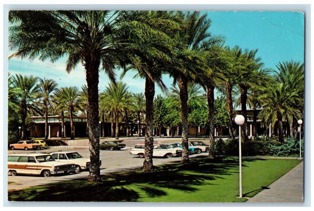 1969 College Of The Desert Tree-lined Palm Desert Palm Springs CA Postcard