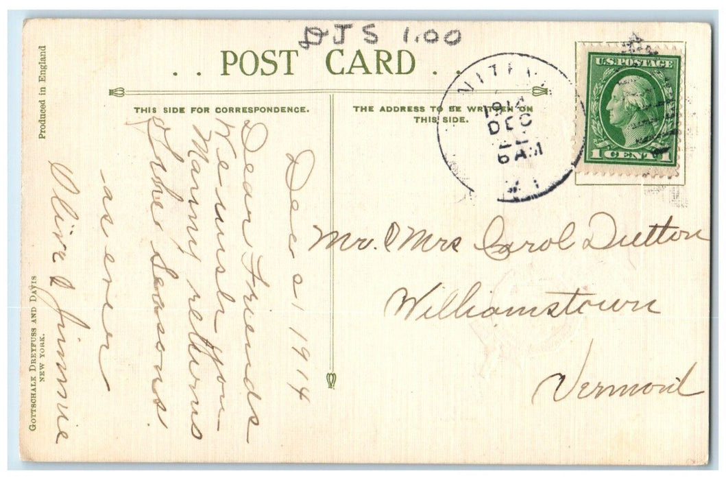 c1910's Christmas The Holly Brush Inn Hotel Berries Williamstown VT Postcard