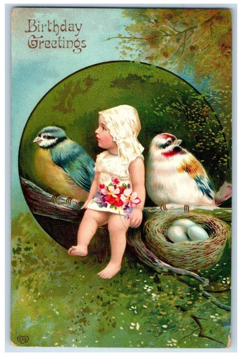 c1910's Birthday Greetings Little Kid And Blue Jay Birds Eggs Nest Gel Postcard