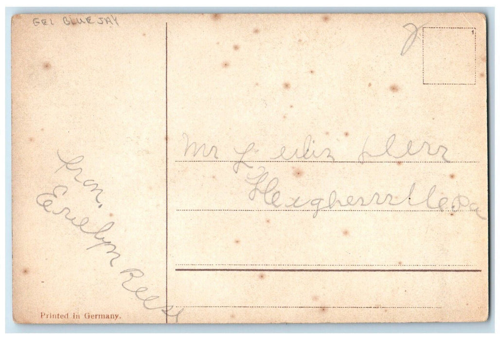c1910's Birthday Greetings Little Kid And Blue Jay Birds Eggs Nest Gel Postcard