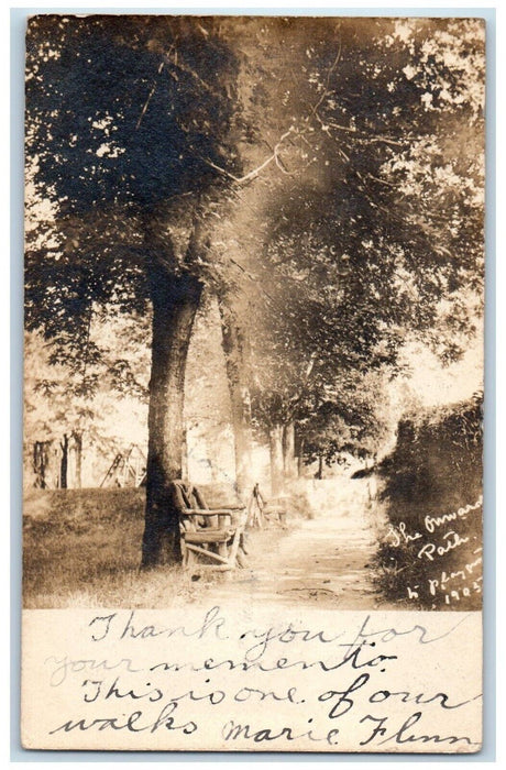 1906 Forest Path View Bench Bridge Washington DC RPPC Photo Posted Postcard