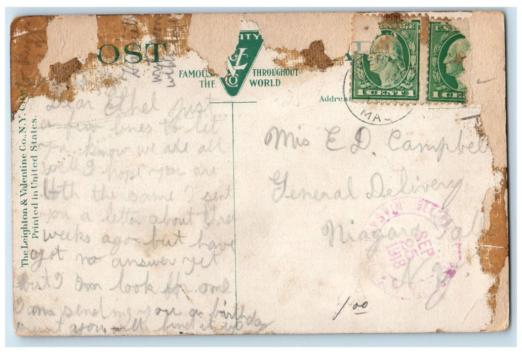 1919 View Of Ponderosa Lemons Grown Near Houston Texas TX Antique Postcard