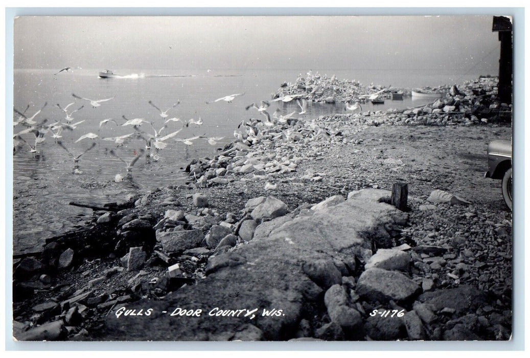 c1950's Gulls Shore Scene Motor Boat Door County WI RPPC Photo Postcard