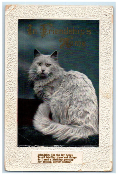 c1910's Birthday Greeting Friendship Cute Cat Message Embossed Antique Postcard