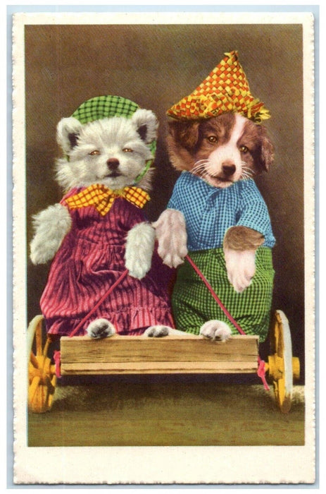 c1910's Anthropomorphic Cute Dog Farmer Hat Studio Portrait Antique Postcard