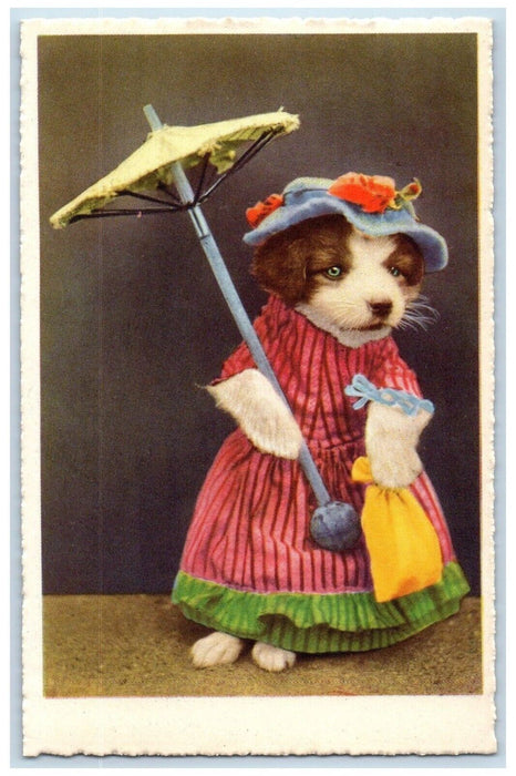 c1910's Anthropomorphic Cute Dog With Umbrella Studio Portrait Antique Postcard