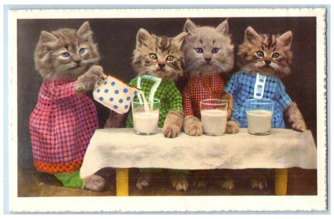 c1910's Anthropomorphic Cute Cat Drinking Milk Studio Portrait Antique Postcard