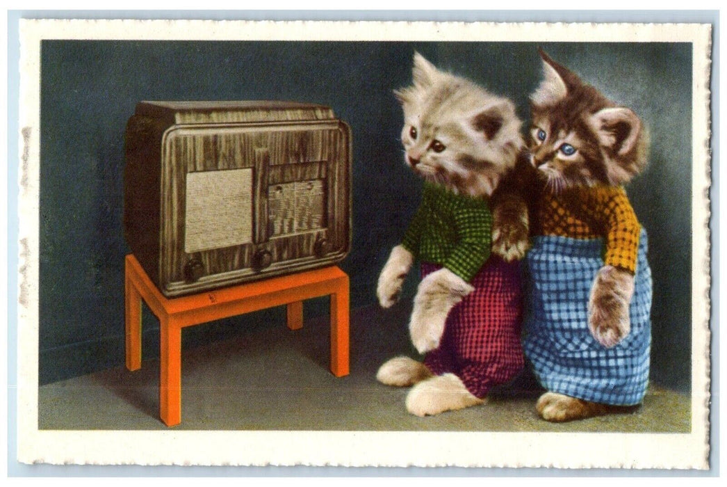 c1910's Anthropomorphic Cat Radio At The Table Unposted Antique Postcard