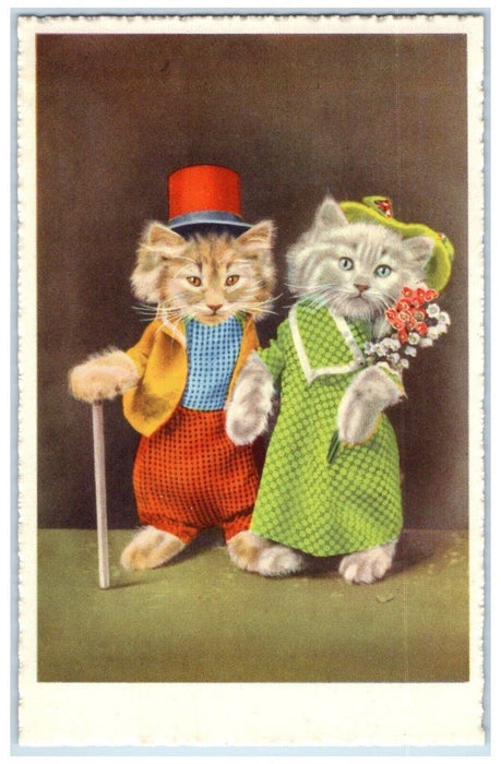 c1910's Anthropomorphic Cat With Flowers Studio Portrait Antique Postcard