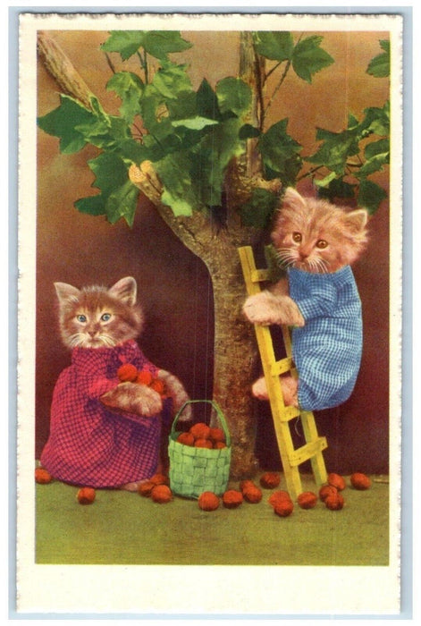 c1910's Anthropomorphic Cute Cat Climbing Tree Ladder Harvesting Apple Postcard
