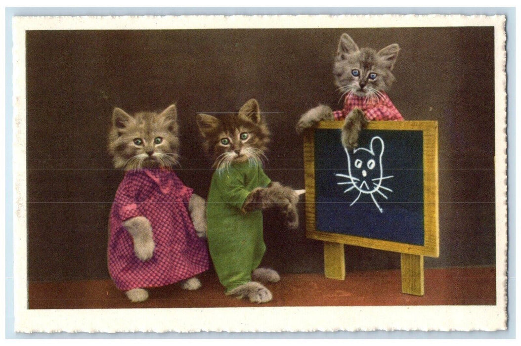 c1910's Anthropomorphic Cute Cat Drawing Board Studio Portrait Antique Postcard