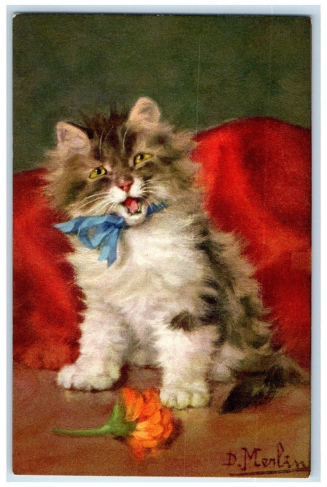 Cute Cat With Blue Ribbon Flower Studio Portrait Merlin Unposted Postcard