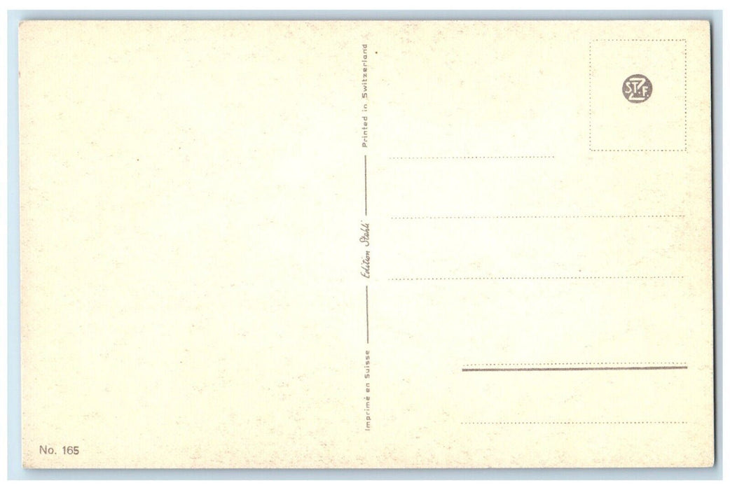 Cute Cat With Blue Ribbon Flower Studio Portrait Merlin Unposted Postcard