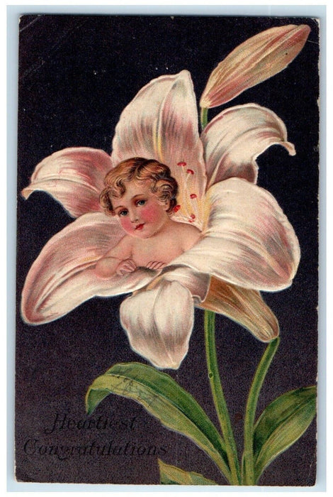 c1910's Congratulations Little Boy Head In White Lily Flower Embossed Postcard