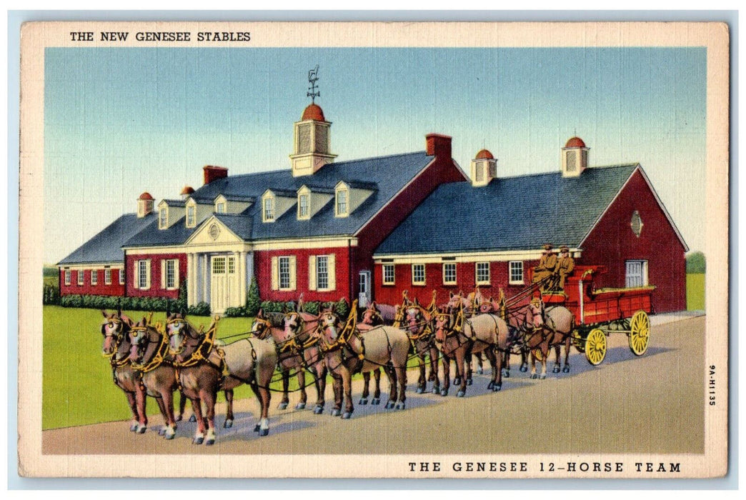 The New Genesee Stables 12-Horse Team Near Rochester New York NY  Postcard
