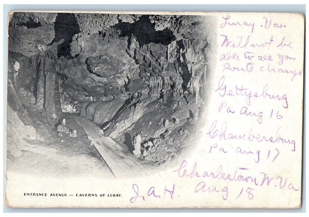 1906 Entrance Avenue Caverns Of Luray Virginia Va Antique Posted Postcard