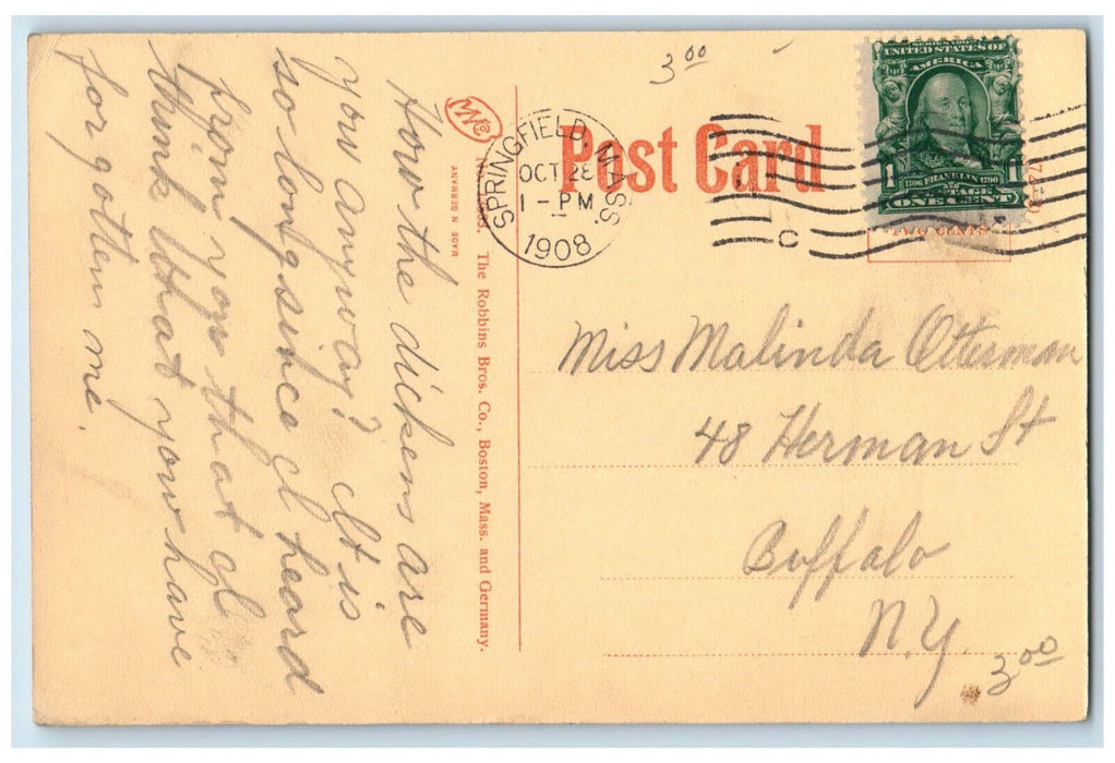 1908 Front View Of City Library Springfield Massachusetts MA Antique Postcard