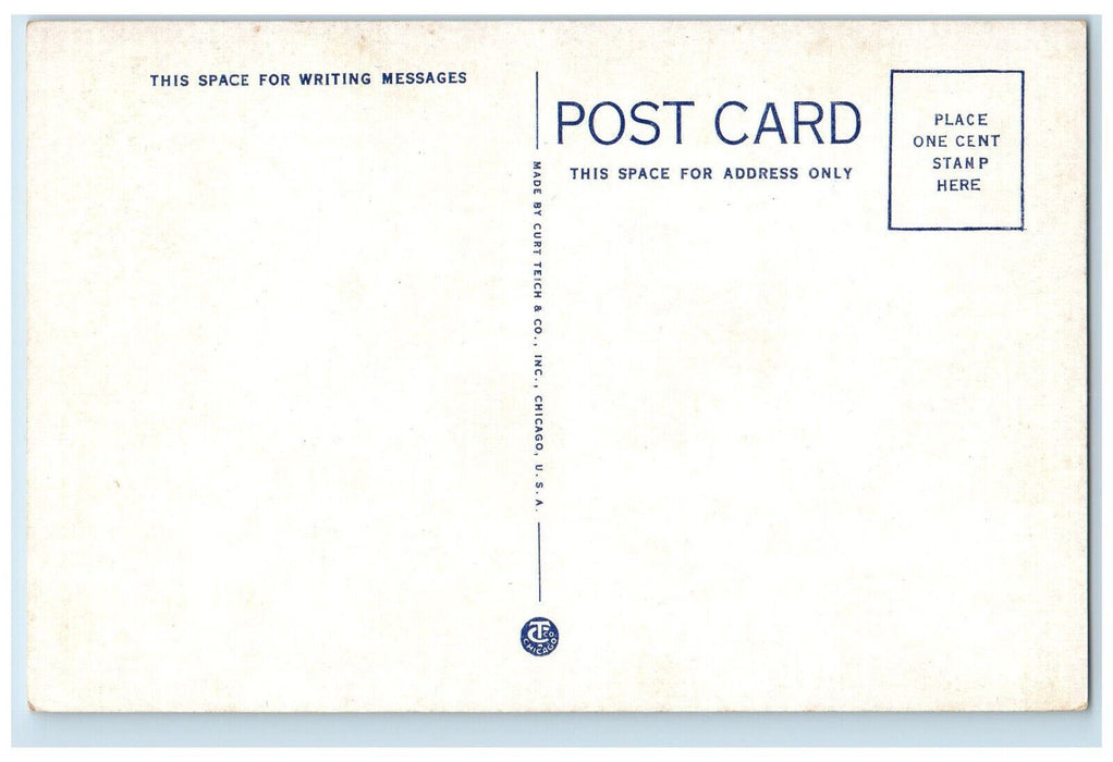 U.S Post Office Street Trees Scene Red Wing Minnesota MN Vintage Postcard