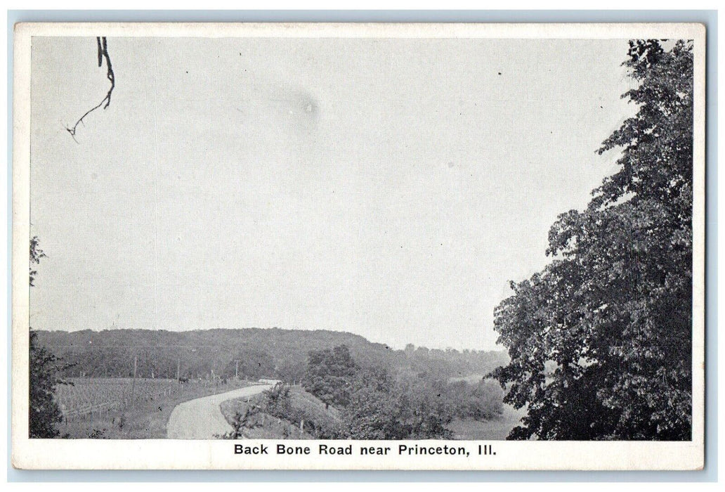 c1910's View Of Back Bone Road Near Princeton Illinois IL Antique Postcard