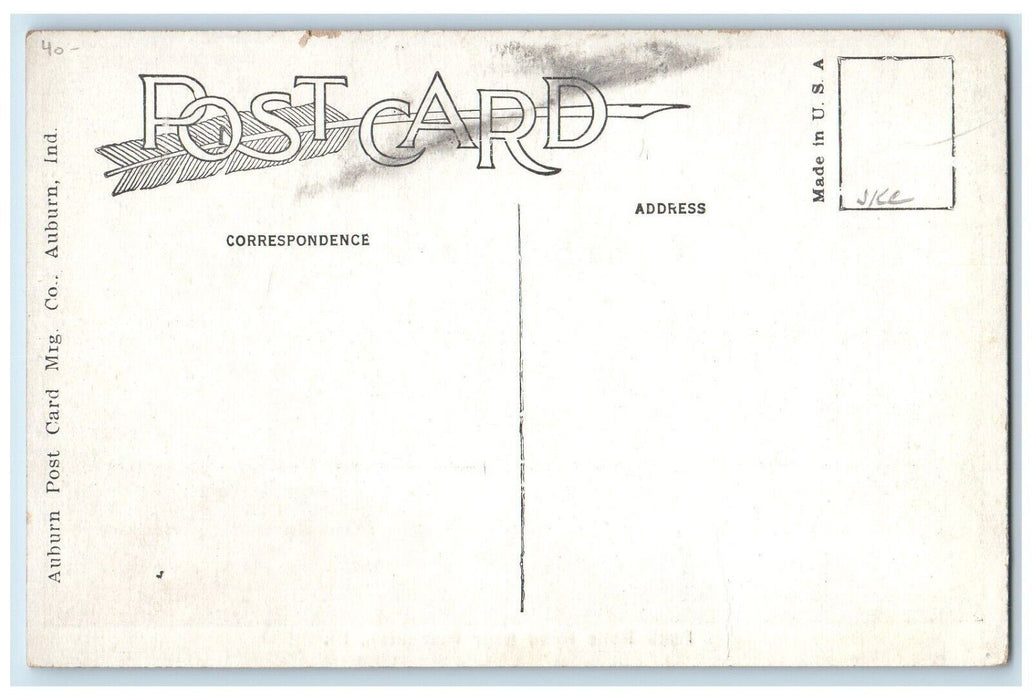 c1910's View Of Back Bone Road Near Princeton Illinois IL Antique Postcard