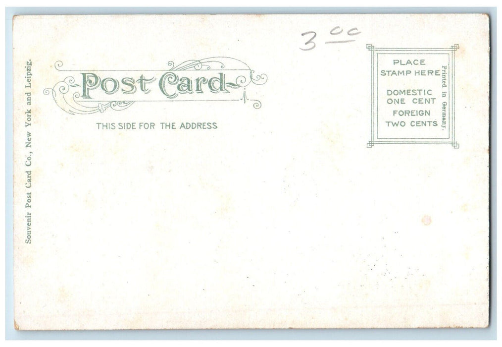 c1905 View of Aragon Hotel Atlanta Georgia GA Unposted Antique Postcard