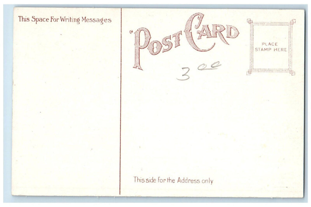 c1910 Ponce De Leon Amusement Park Atlanta Georgia GA Antique Postcard