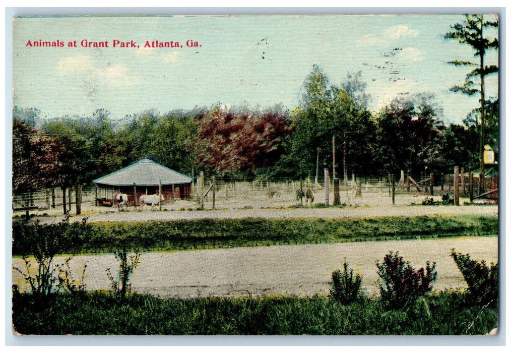 1915 Animals at Grant Park Atlanta GA Antique Posted IF Co. Postcard