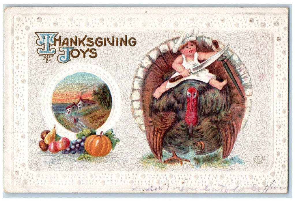 1912 Thanksgiving Joys Chef Boy On Top Of Turkey Knife Fruits Embossed Postcard