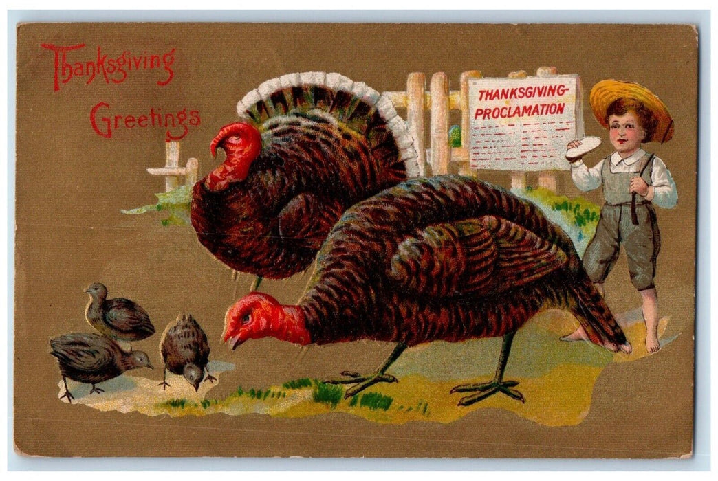 1911 Thanksgiving Greeting Turkey And Chicks Boy Embossed Fonda NY Postcard