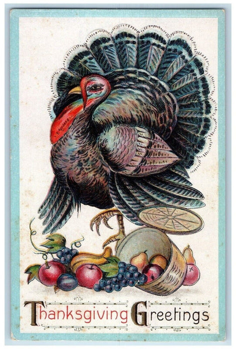 c1910s Thanksgiving Greetings Turkey Bucket Of Fruits Embossed Antique Postcard