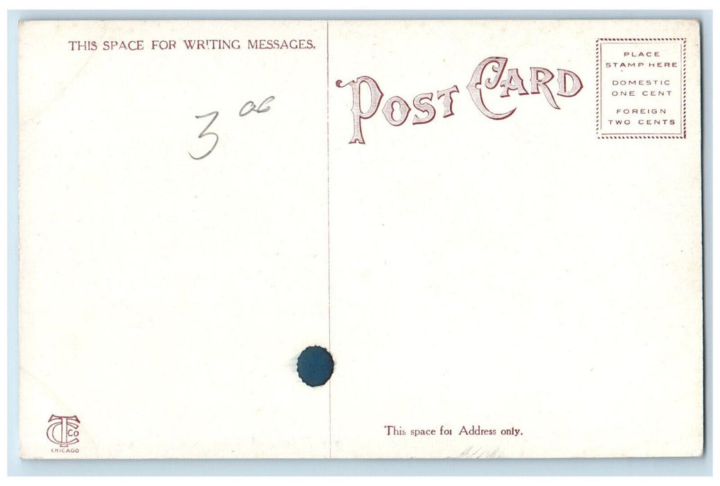 c1910 Rotunda Interior of Hompton Terrace Augusta Georgia GA Antique Postcard