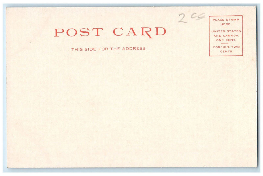 c1905 East Battery Parade Charleston South Carolina SC Unposted Postcard