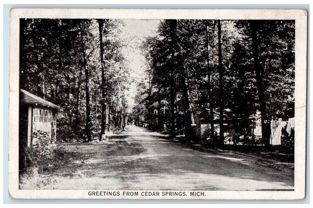 1934 Greetings from Cedar Springs Michigan MI Vintage Posted Postcard
