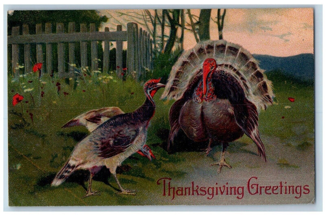 1909 Thanksgiving Greetings Turkey Embossed Brooklyn New York NY Posted Postcard