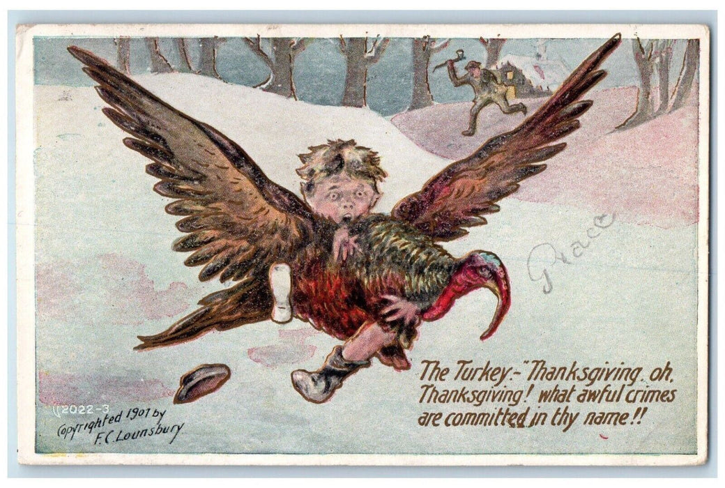 1907 Thanksgiving Boy Cached Turkey Winter Embossed Posed Antique Postcard