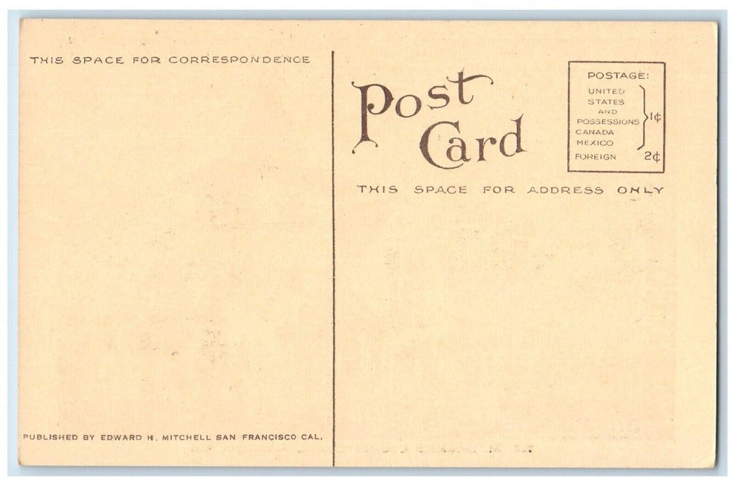 c1910 St. Sebastian Catholic Church Exterior Sebastopol California CA Postcard